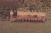 Juniorenstaffelsieger_1955-56.jpg