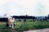 Stadioneinweihung_1957.jpg