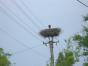 CIMG0892.JPG